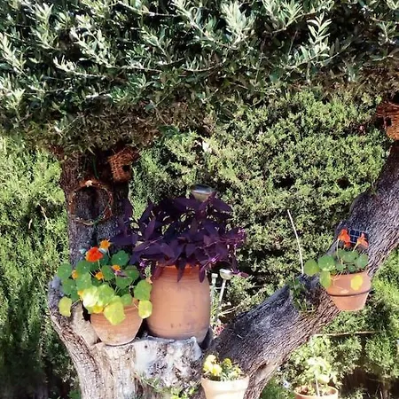 Bay Leaves Apartamento *